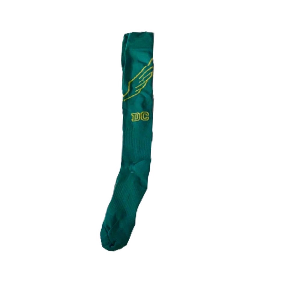 Image of TEAL WING FOOTBALL SOCK