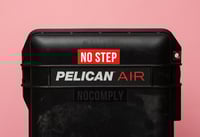 Image 2 of RED SNAKE