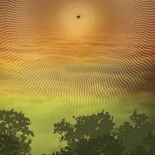 Image of Steve Palmer / Useful Histories