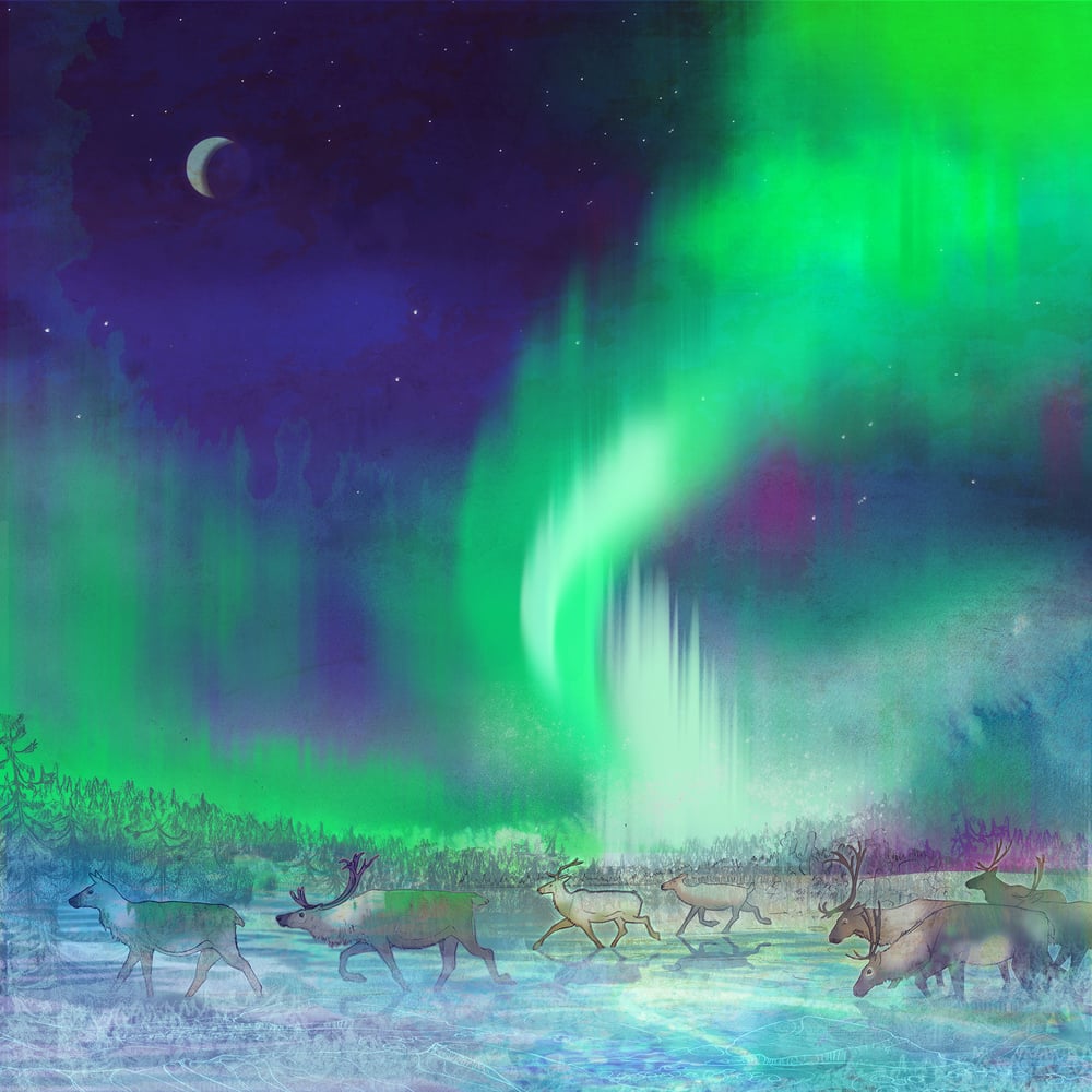 Image of Beneath the Aurora