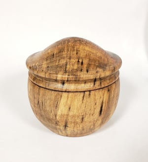 Image of Spalted Rainbow Poplar Lidded "Box"