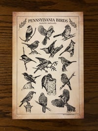 Image 1 of Pennsylvania Birds - Print