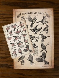 Image 2 of Pennsylvania Birds - Print
