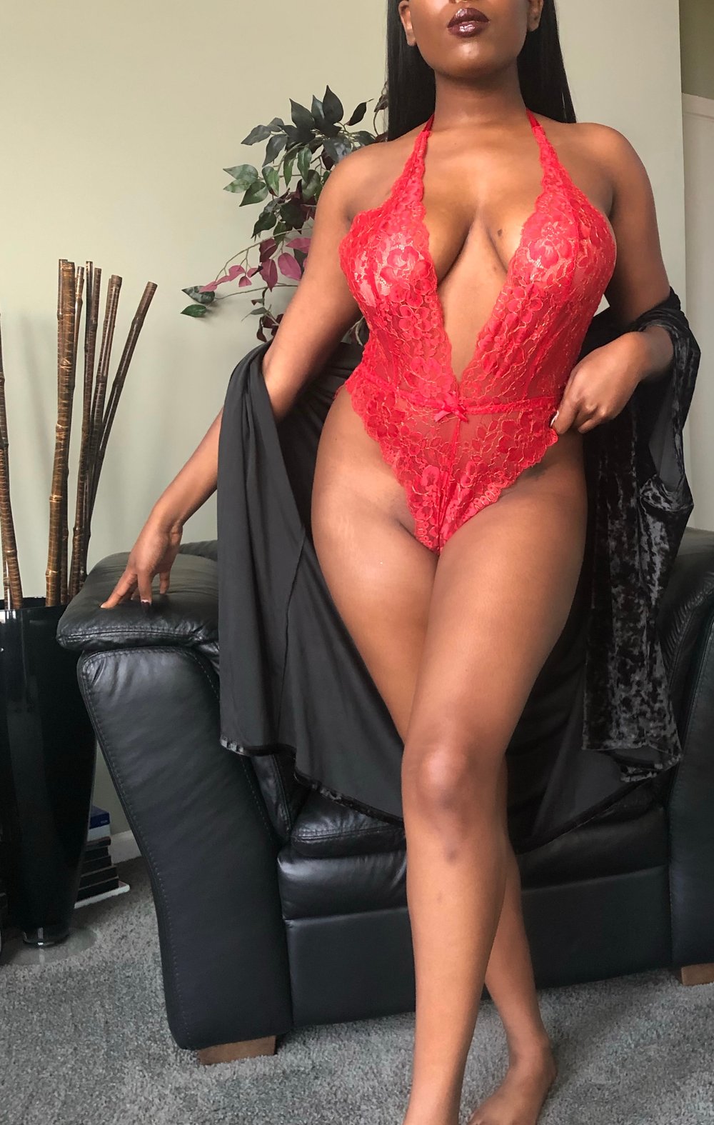 The Laced Teddy