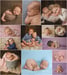 Image of SUMMER SALE - All inclusive newborn session