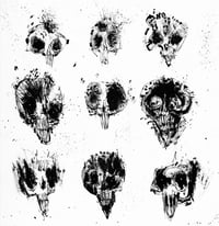 Expressive Skulls, Print