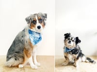 Image 4 of BFF BANDANAS Set of 2 Indigo Dyed Bandanas for Human & Dog Bestie