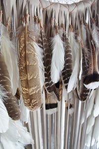 Image 4 of MACHA XL Dreamer
