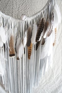 Image 5 of SKAH XL Dreamer
