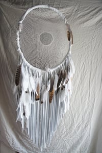 Image 1 of SKAH XL Dreamer