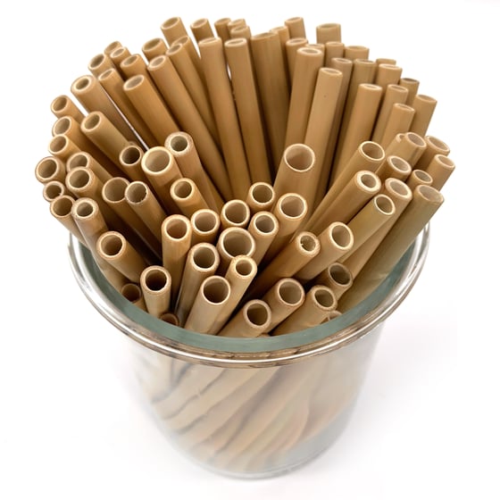 Image of Bamboo Straws and Cleaning Brush