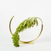 Image of Best Practice Vase - Large circle, for medium/thick flower stems
