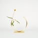 Image of Best Practice Vase  - Small circle, for fine flower stems only