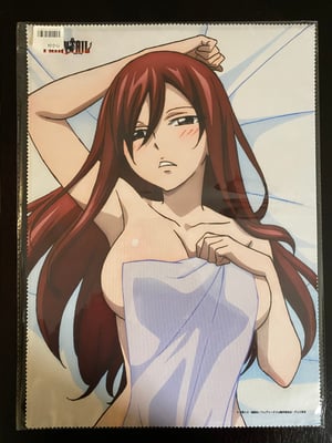 Image of ERZA Fairy Tail Collection Japanese Multi Cloth