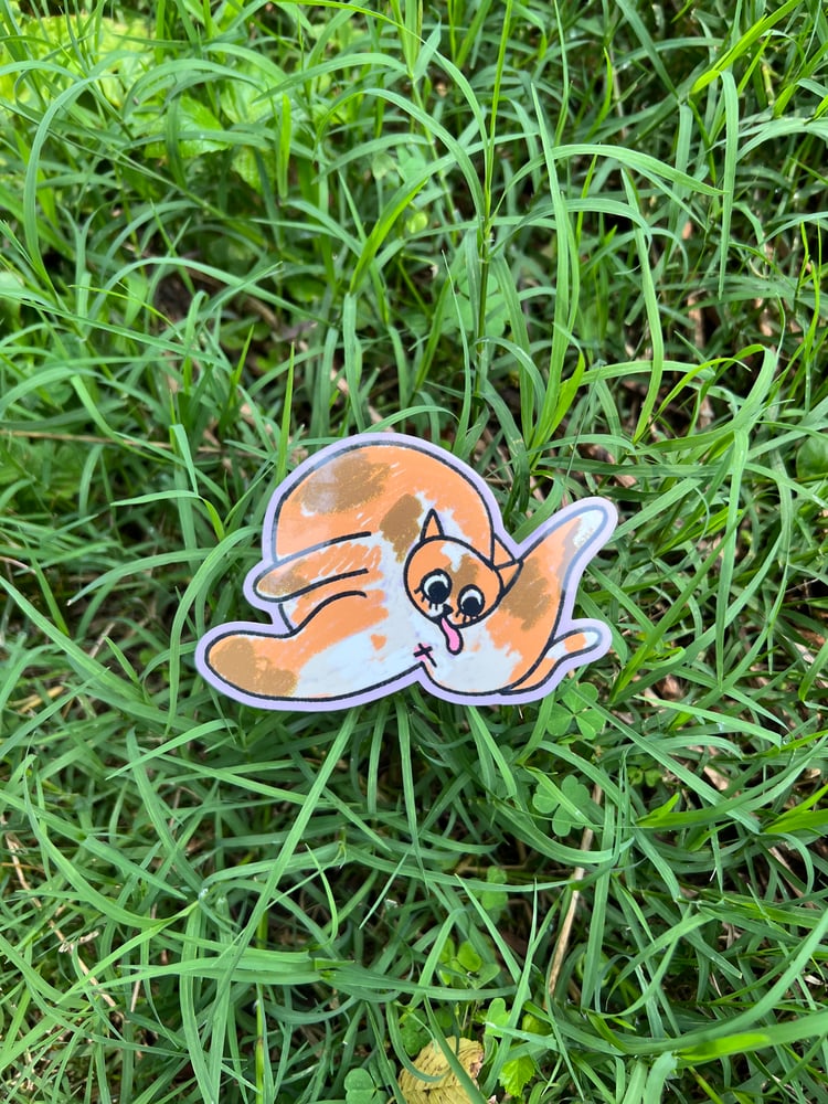 Image of clean kitty sticker