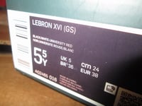 Image of LeBron XVI (16) "Bred" GS
