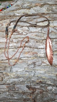 Image 1 of Feathers of Strength