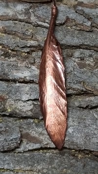 Image 2 of Feathers of Strength