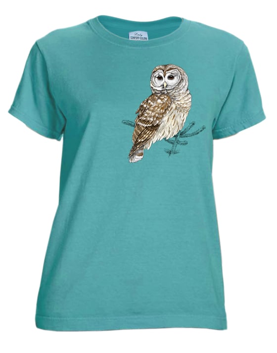 Image of Barred Owl garment dyed ladies t-shirt