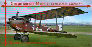 Image of THE VINTAGE AVIATOR LTD - Up Close and Personal