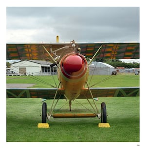 Image of THE VINTAGE AVIATOR LTD - Up Close and Personal