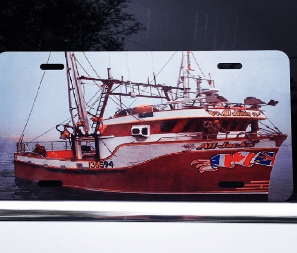 Image of Novelty Photo  License Plates 