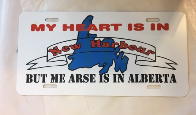 Image of Novelty Photo  License Plates 