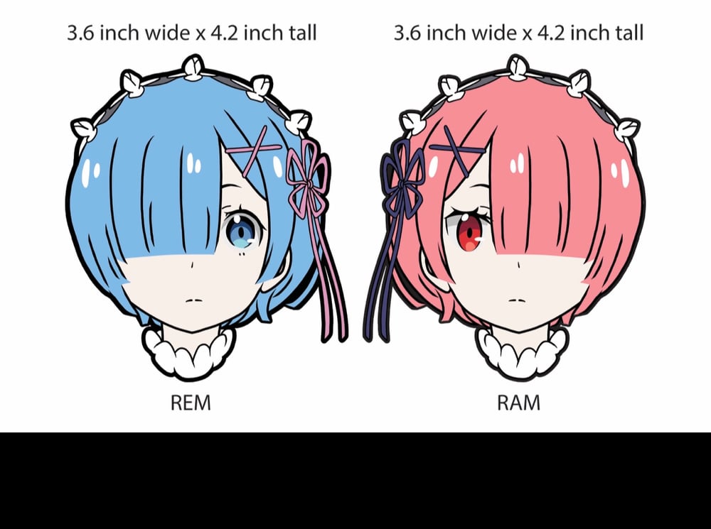 REM and RAM peekers