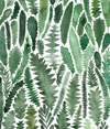 Greeting Card - Banksia Leaves