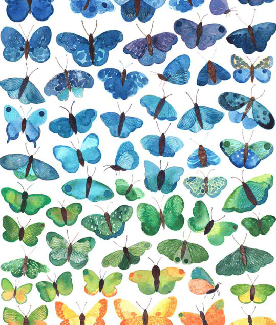 Image of Greeting Card - Butterfly Blues