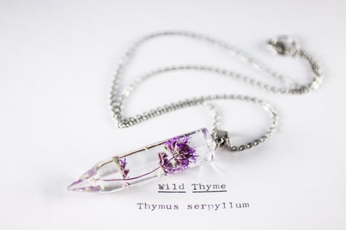 Image of Wild Thyme (Thymus serpyllum) - Medium Crystalline Pendant #3