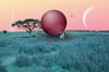Serengeti