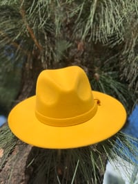 Image 1 of The safo fodora hat - golden 