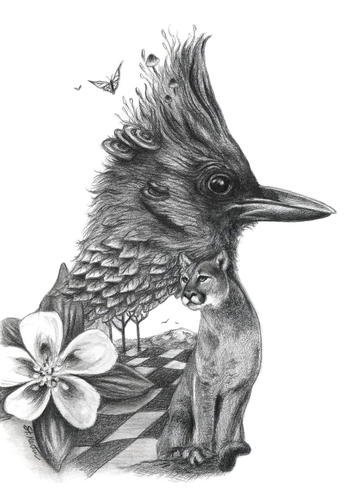 Image of Western Beauty - Original Drawing