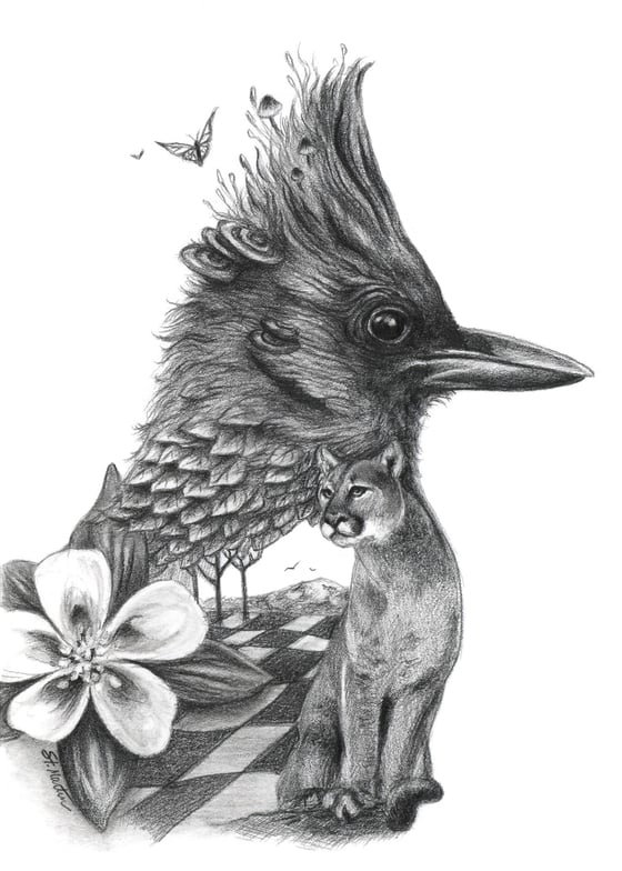 Image of Western Beauty - Original Drawing