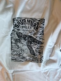 Image 4 of Seaturtle of tybee