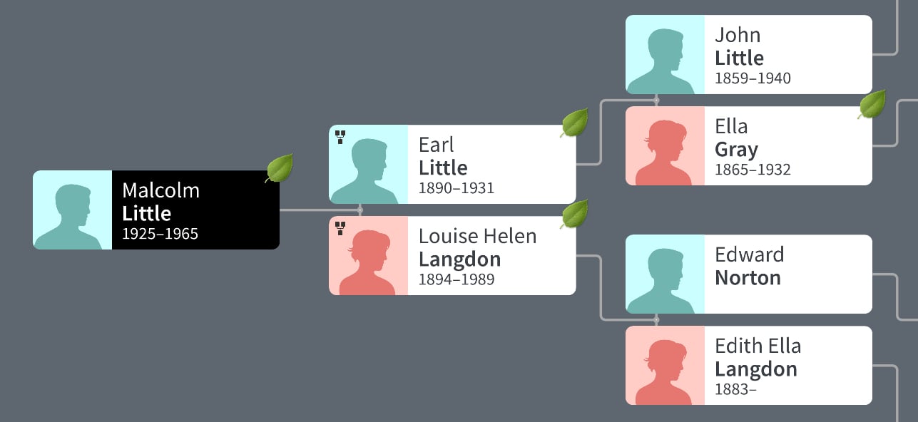 Image of Family Tree Jumpstart