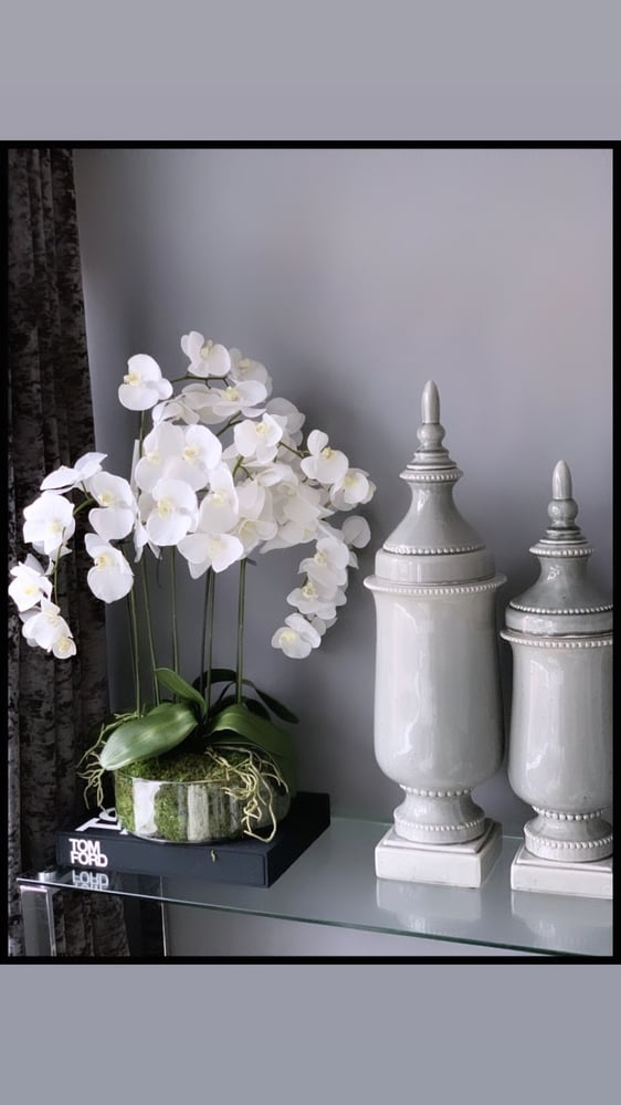 Image of XL orchid arrangement 
