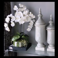 Image 4 of XL orchid arrangement 