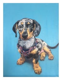 Portrait of Phoebe II
