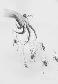 Image 1 of Seven Silver Spiders Original graphite drawing with silver glitter 