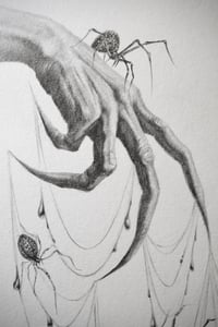 Image 2 of Seven Silver Spiders Original graphite drawing with silver glitter 