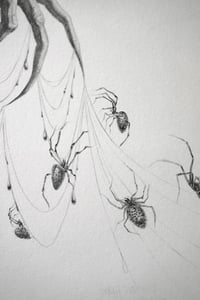 Image 4 of Seven Silver Spiders Original graphite drawing with silver glitter 