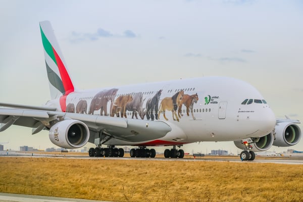 Image of 8"x12" HD Print | Emirates "United For Wildlife" A380 (A6-EOM)