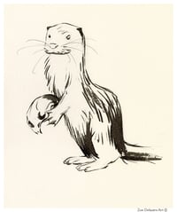 Sea Otter Memento Mori