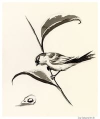 Sparrow Memento Mori