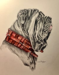 Image 1 of Graphite / Watercolor Pet Portrait