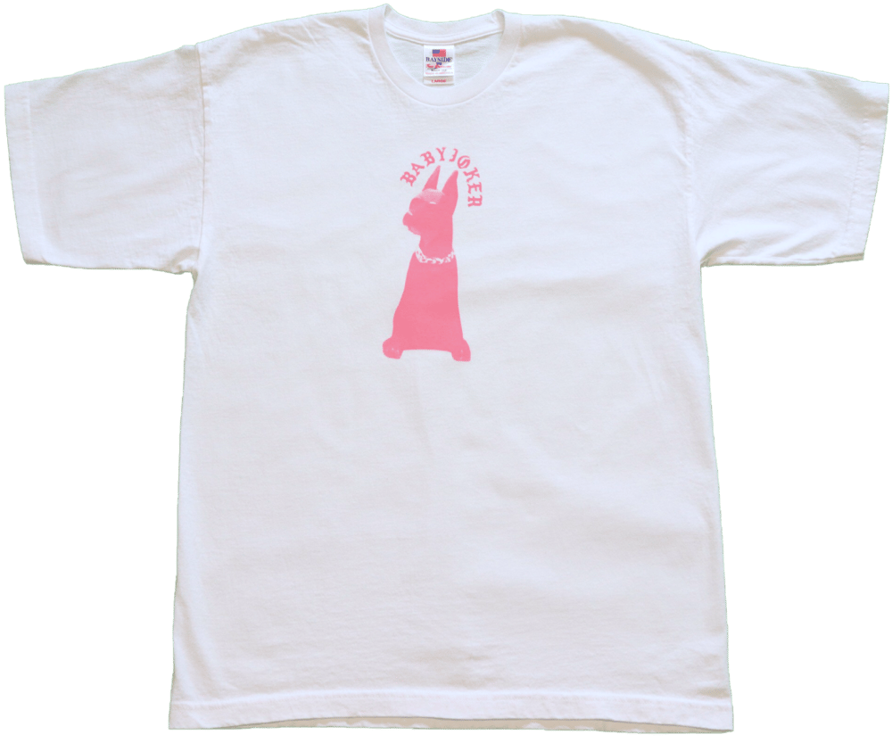 Image of water based dog