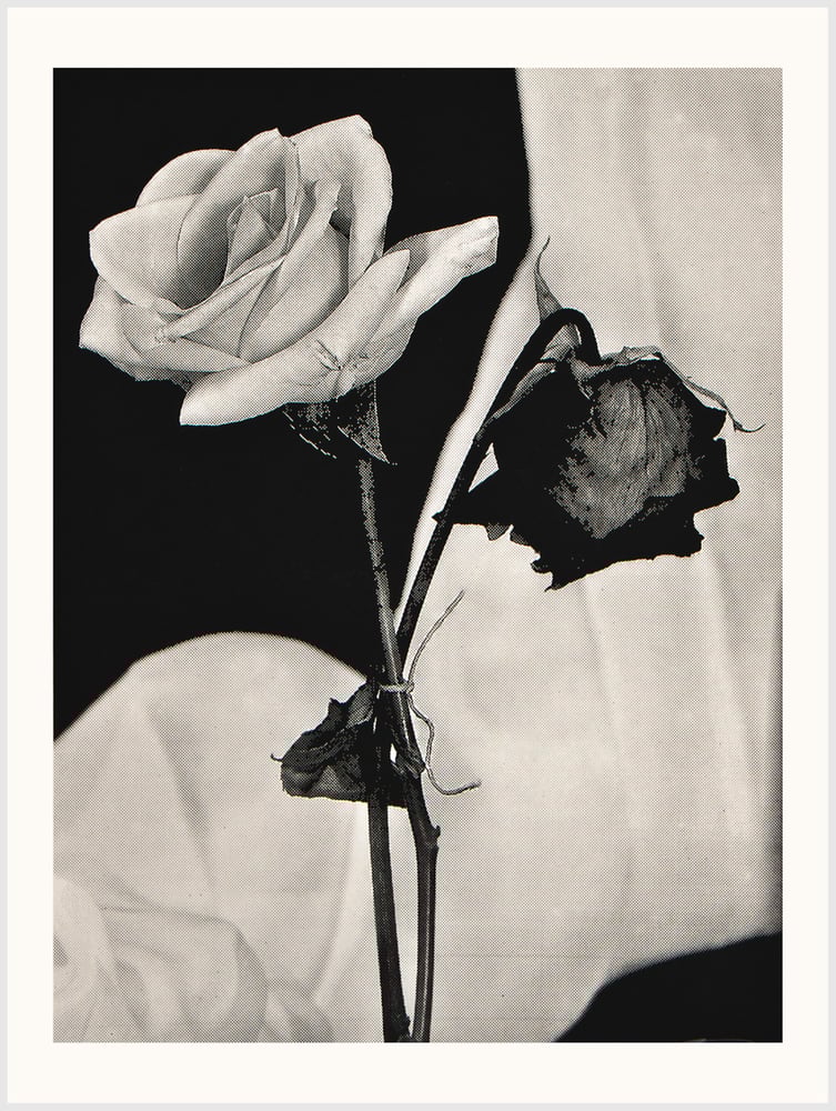 Image of One in the Same