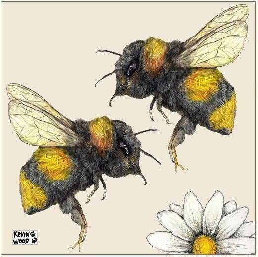 Image of Two bees ceramic coaster